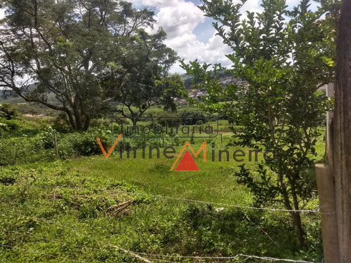Imagem 7 de 8 de Lote / Terreno Em Pio Xii - Itatiaiuçu - 13620