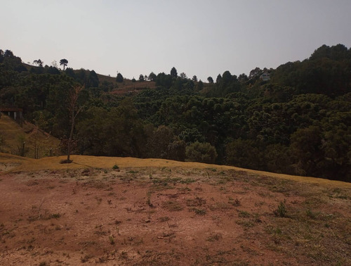 Imagem 13 de 15 de Terreno No Jd. Cataguases Em Campos Do Jordão - 43