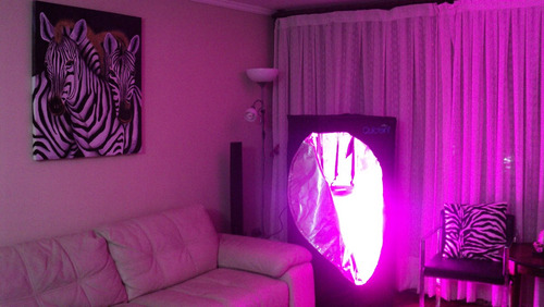 Indoor Led + Instalación Gratuita