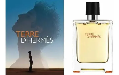 Hermès Terre d'Hermès Parfum 200ml Masculino Amadeirado Chypre