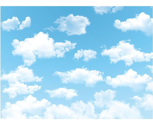 Allenjoy 8x6ft Vinyl Blue Sky White Cloud Backdrop For Newbo