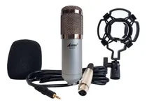 Comprar Microfono Condenser Lane Bm-800 Estudio Filtro Araña Cable