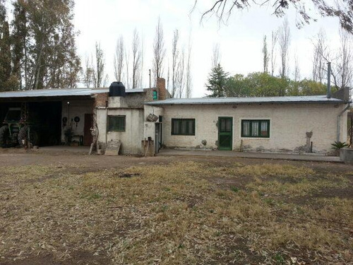 Imagen 18 de 30 de Finca De 62 Ha - General Alvear- Mendoza