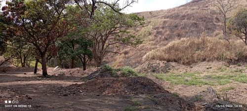 Jc - Terreno 8.000 M2. Alquiler O Venta. Frente A La Autopista Regional Del Centro - Paracotos. Edo Miranda