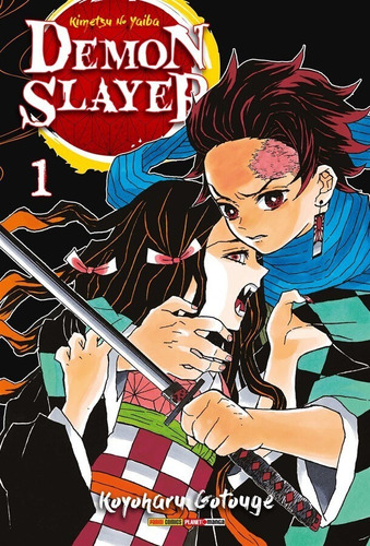 Demon Slayer / Kimetsu No Yaiba - Volume 01