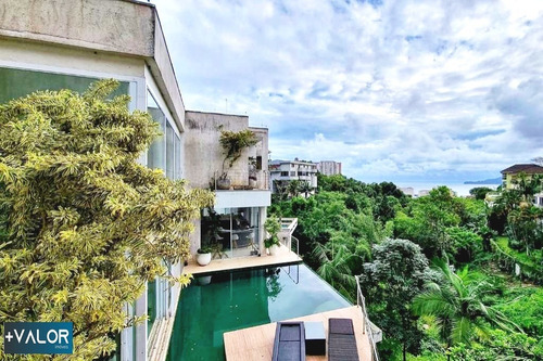 Imagem 10 de 30 de Casa Para Venda No Morro Do Santa Teresinha Em Santos - Ma21258 - 70591301