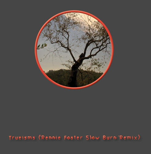 Cd: Trueisms (rennie Foster Slow Burn Remix)