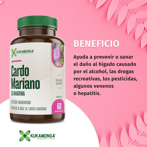 Kit 2 Cardo Mariano - 60 Cápsulas Sabor Sin sabor