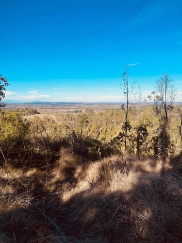 Terreno 5000 M2 En Litueche Con Vista Lago Condominio Seguro