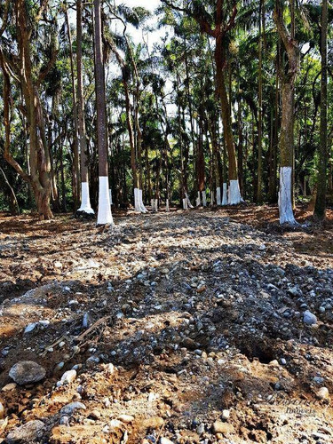 Imagem 17 de 20 de Belíssima Chácara Localizada Na Vila Santo Antônio Medindo 3.056,82m² Por R$283 Mil - Ch0168