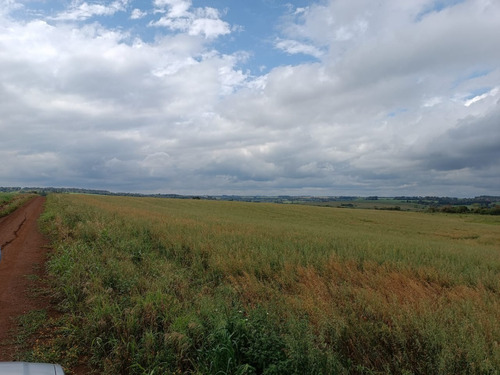 Parcela Agricola De 5 Hectareas