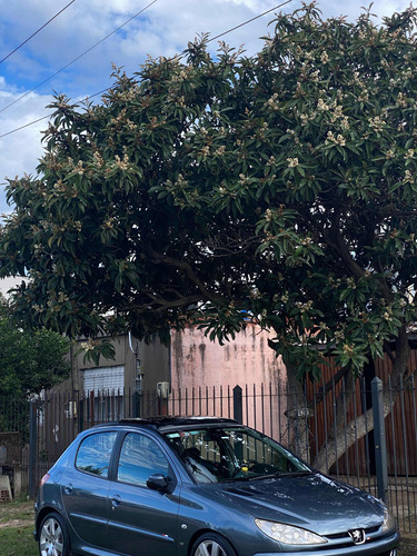 Peugeot 206 xs premium