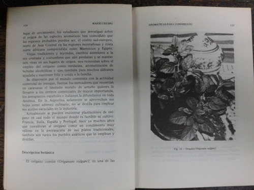 Imagen 4 de 5 de Cultivo De Plantas Aromaticas Para Condimento * Mario Crespo