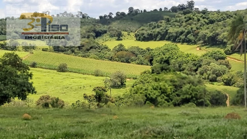 Imagem 2 de 15 de Sítio Em Centro - Ouro Fino - 1460