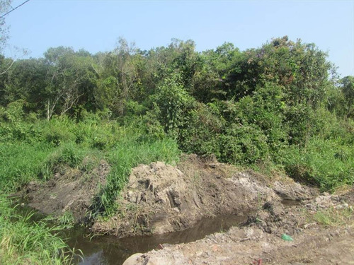 Imagem 2 de 4 de Terreno - Venda - Sao Pedro - Itanhaem - Ita2151