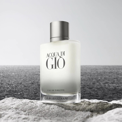 Perfume Giorgio Armani Acqua Di Gio Recargable Edt 100ml