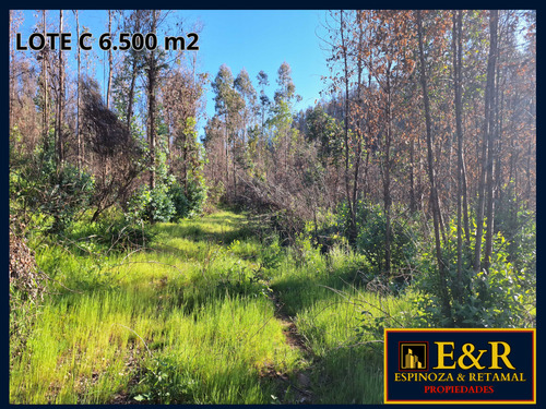 6000 M2 En Colico, Con Ester , Santa Juana (67673)