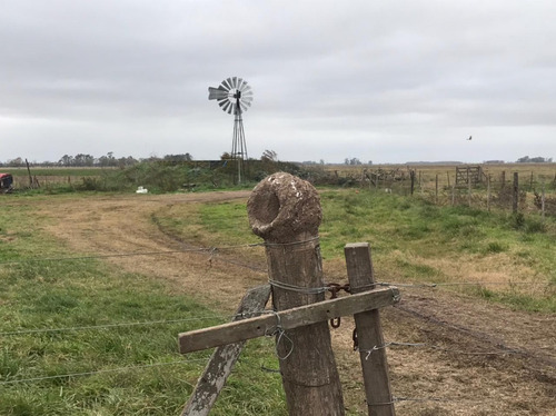 Venta 550 Hectareas Cañuelas Campo Mixto Ideal Ganadero U$s 6500 X Has.