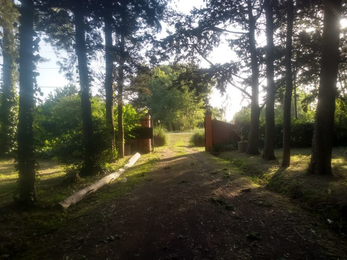 Quinta Eventos Y Descanso. Gran Arboleda Y Piscina