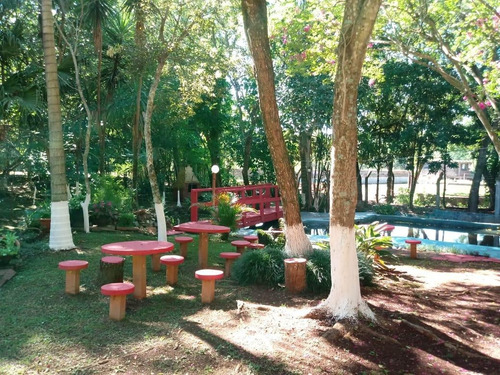 Imagem 15 de 23 de Chácara Com 4 Dormitórios À Venda, 9000 M² Por R$ 750.000,00 - Aparecidinha - Santa Terezinha De Itaipu/pr - Ch0024
