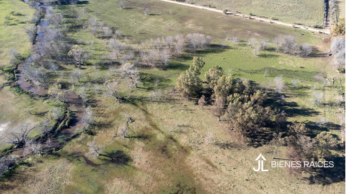 Campo En Venta De Casi 15 Has En Escalada Zarate.