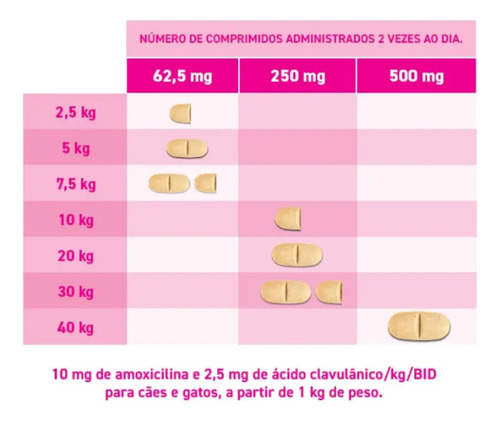 Clavaseptin P 500mg Para Cães E Gatos Vetoquinol