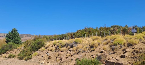 Venta Campo Aluminé