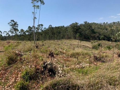 Br Terreno Com Ótima Topografia