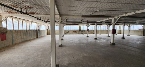 Piso Industrial Depósito Alquiler Ruiz Pineda 610 Mts2 B-9qnx 1606