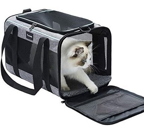 Transportador Para Mascotas Talla M Perros Y Gatos