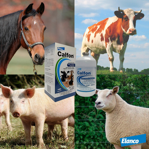 Kit 5 Un. Calfon Elanco 500ml Cálcio, Magnésio E Fósforo