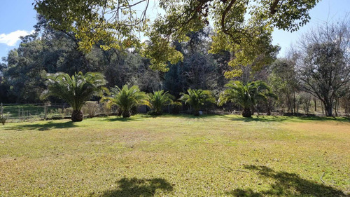 Imagen 8 de 19 de Quinta Para Eventos - Salon De Fiesta