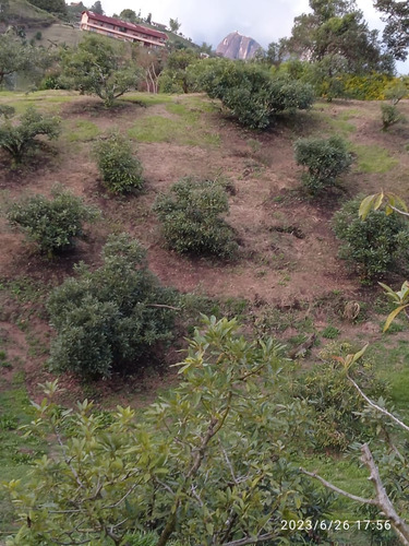 Venta Lote El Peñol Cerca Represa