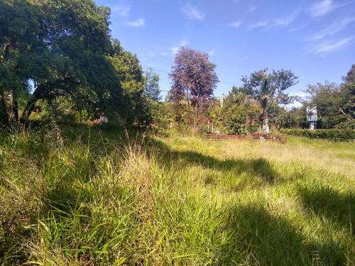 Imagem 10 de 14 de Terreno 5.790 Mts Condomínio Tradicional / Asfalto Na Porta