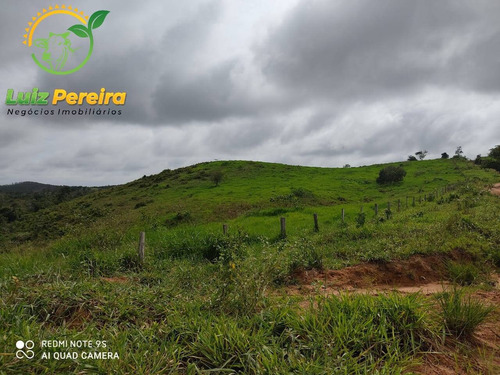 Imagem 4 de 15 de Fazenda À Venda Em Jacunda - Pa - 1.258,4 Hectares (dupla Aptidão) - 2032