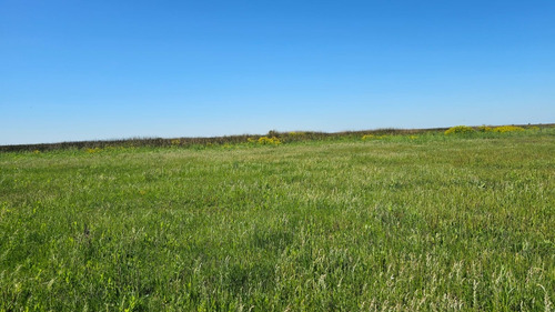 Se Vende Isla Entre Rios Sobre Arroyo Tigre