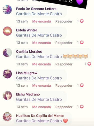Imagen 5 de 5 de Guarderia Y Pensionado De Gatos Y Perros Garritasdemontecast