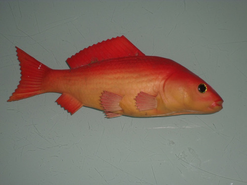 Pez - Figura De Pescado Naranja Tipo Esponja 12cm