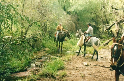 Imagen 15 de 22 de Traslasierra - Estancia Aguas Del Tala - Pueblo Ambul - Pampas Del Pocho - 383has Cercadas A La Venta En Una Zona De Crecimiento Constante - Mina Clavero - Cordoba
