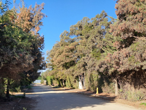 Parcela En Camino Loreto, Lonquén. Excelente Ubicación