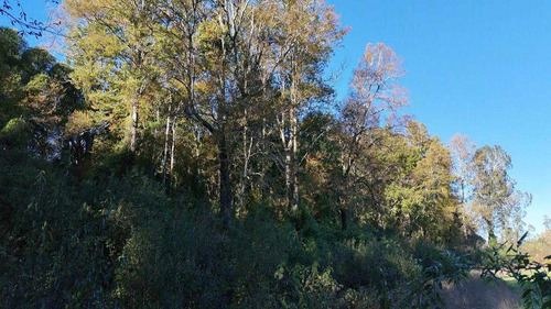 Campo En Venta Inversionista Pitrufquen (104143)