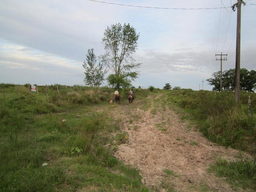 Imagen 4 de 18 de Campo Pegado A Tala, 22 Hás