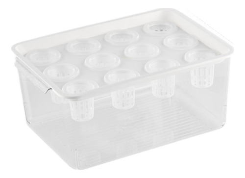 Caja De Hidropónico, Contenedor De Plantación Con