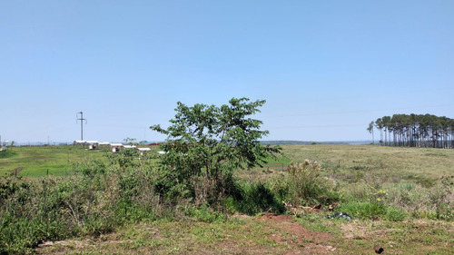 Terreno En Venta En Centro