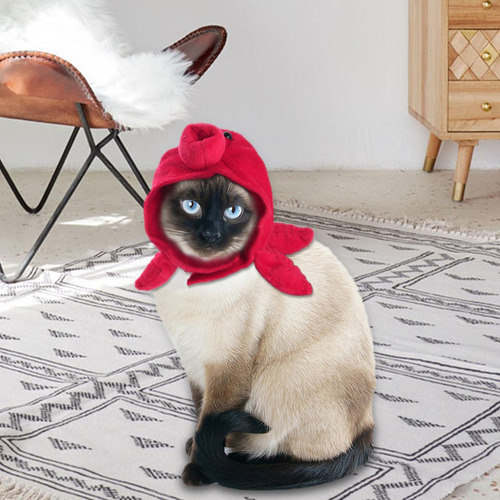 Perro Gato Sombrero Sombrero Divertido Cálido Para Pulpo