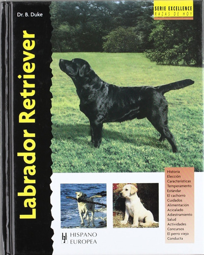 Labrador Retriever (excellence)