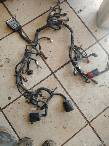 Arnés Completo Con Todo Y Conputadora Para Pulsar N250 2024