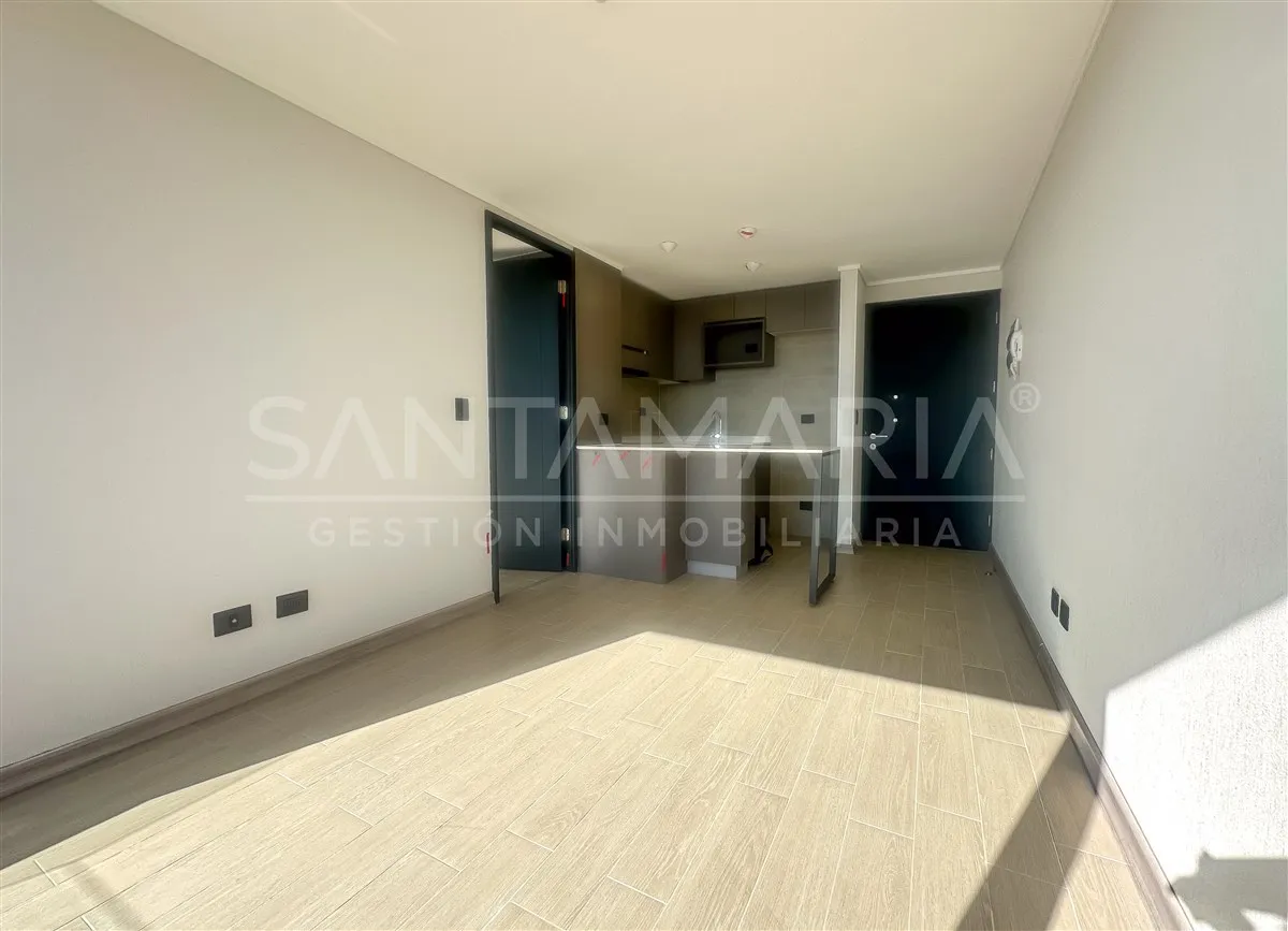 Imagen 4 de 19 de Departamento En Arriendo 1 Dorm. En Rozas, Concepción Centro