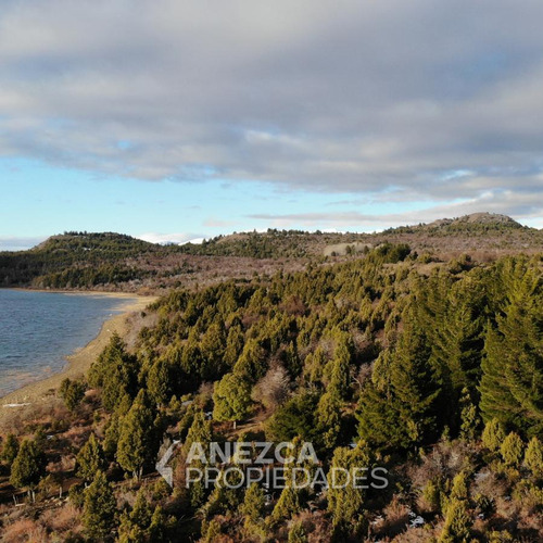 Campo De 8 Hectáreas - Costa Lago Lezama - Cholila