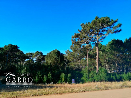 Imagen 1 de 5 de Lote En Venta, Pinamar, Alamos Ii